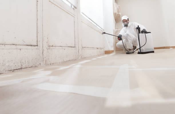 24/7 Emergency Mold Removal experts in Viewtown, VA